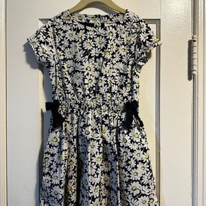 J Crew Daisy Dress